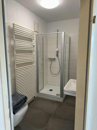 Modernes Badezimmer mit Dusche, WC und Handtuchheizkörper. Helle Fliesen und neutraler Farbton.